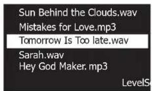 BOSE T4S ToneMatch - 使用偏好設定公用工具 - 16