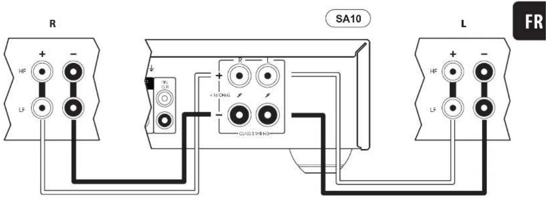 ARCAM SA10 - Cablage simple - 1
