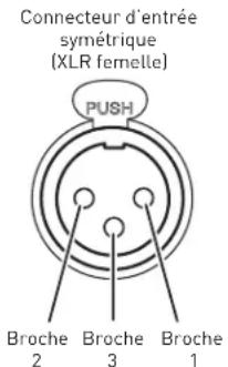 Connecteur d'entrée symétrique (XLR fernelle) PUSH Broche 2 Broche 3 Broche 1