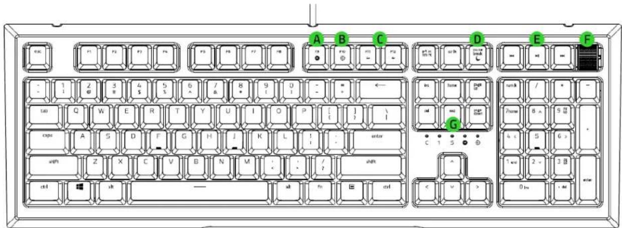 RAZER Ornata V2 - 구성품 - 1
