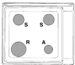 INDESIT PI 631 A (IX) - Adapting to different types of gas - 2