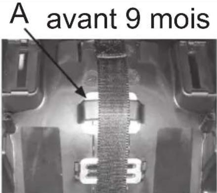 BAMBISOL Illico - AVERTISSEMENT : La hauteur du harnais doit etre impereativement adaptee a la taille de voire bebe, les sangles d'epaules doivent sortir au niveau ou legement en dessous des epaules de voire bebe. - 2