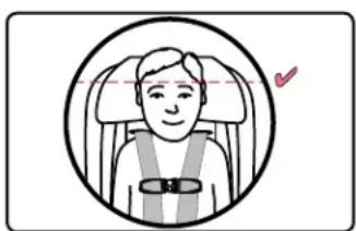 BRITAX Frontier XT - Children must: - 1