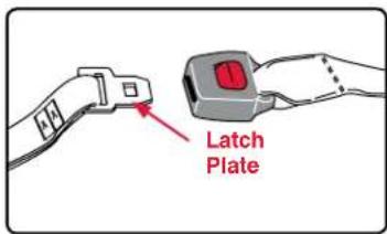 BRITAX Frontier XT - Lap Belt - 1