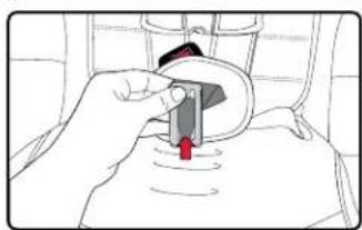 BRITAX Frontier XT - Removing the Buckle - 4