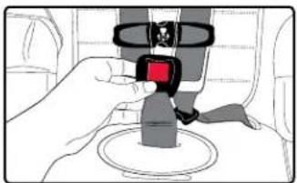 BRITAX Frontier XT - Removing the Buckle - 3