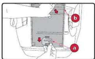 BRITAX Frontier XT - Replacement le harnais et la boute: - 8