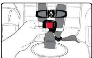 BRITAX Frontier XT - Replacing the Buckle - 4