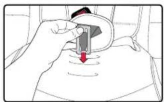 BRITAX Frontier XT - To replace the harness and buckle: - 3