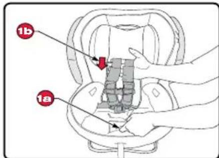 BRITAX Advocate 65 CS - Adjusting the Harness Height - 1