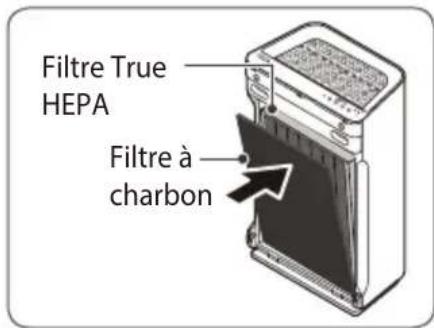 Filtre True HEPA Filtre à charbon