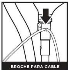 SHARK Navigator ZU62 - CONSERVE ESTAS INSTRUCCIONES - 4