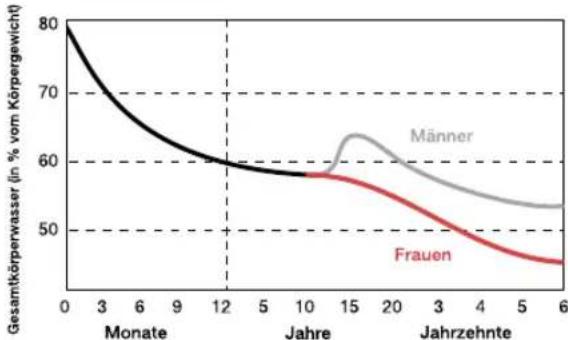 TERRAILLON TFX 60 - Schwankungen des prozentualen Wasseranteils im Körper je nach Alter und Geschlecht: - 1