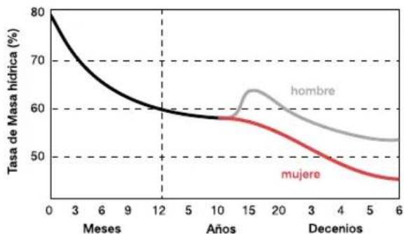 TERRAILLON TFX 60 - Variación del Percentaje de Agua en el cuerpo según la Edad y el Sexo: - 1