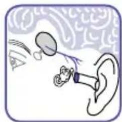 BRAUN ThermoScan IRT 6510 - Pourquoi mesurer dans l'oreille? - 1