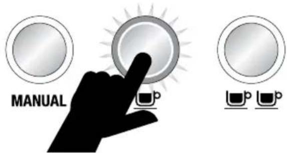 SAGE the Dual Boiler BES920 - CUP (1 Chávena) - 1