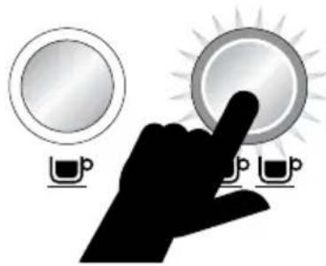 SAGE the Dual Boiler BES920 - 2CUP - 2