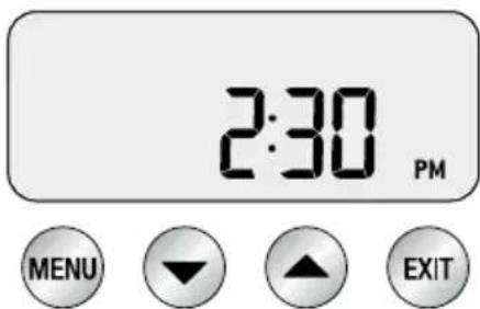 SAGE the Dual Boiler BES920 - Clock (orologio) - 1