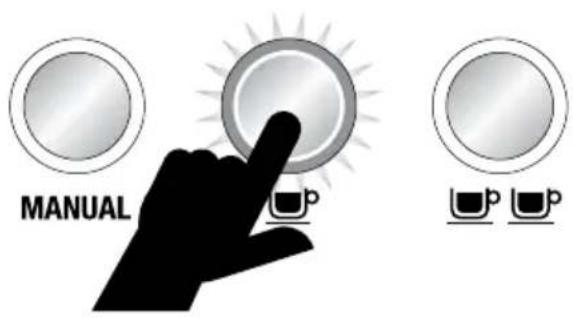 SAGE the Dual Boiler BES920 - TASSE - 1