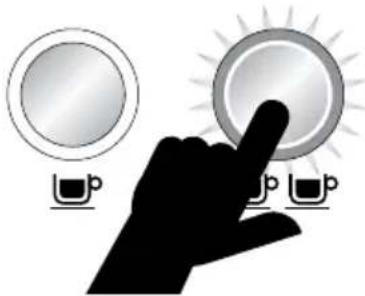 SAGE the Dual Boiler BES920 - TAZZE - 2