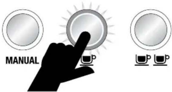 SAGE the Dual Boiler BES920 - DOSAGGIO - 2