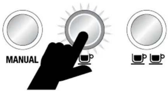 SAGE the Dual Boiler BES920 - CUP - 1