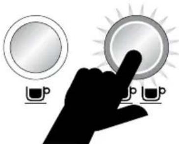 SAGE the Dual Boiler BES920 - TASSES - 2