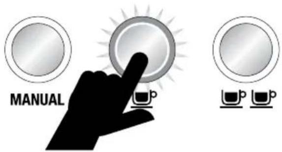 SAGE the Dual Boiler BES920 - 1TAZA - 1