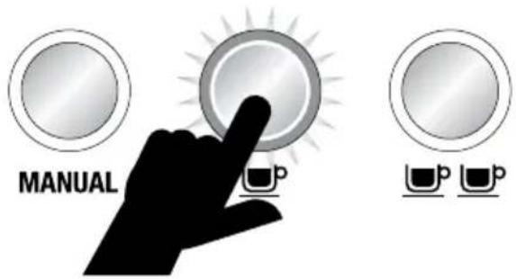 SAGE the Dual Boiler BES920 - 1CUP - 1