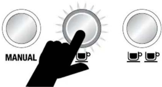 SAGE the Dual Boiler BES920 - TASSE - 1