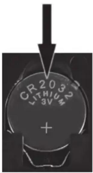 CR203 LITHIUM 3V +