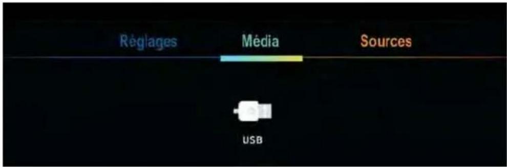 SCHNEIDER LED43SCP200K - Lecteur Média - 1