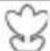 SILVERCREST SCAW 5.00 A1 - Video-Aufnahmebildschirm - 3