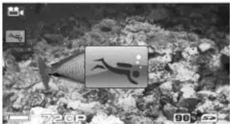 SILVERCREST SCAW 5.00 A1 - Modalità immersione - 1