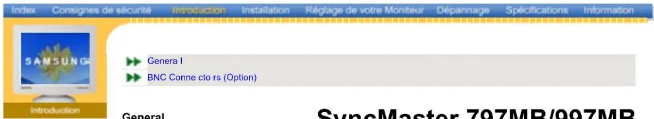 SAMSUNG SyncMaster 997MB - Conventions de Notation - 49