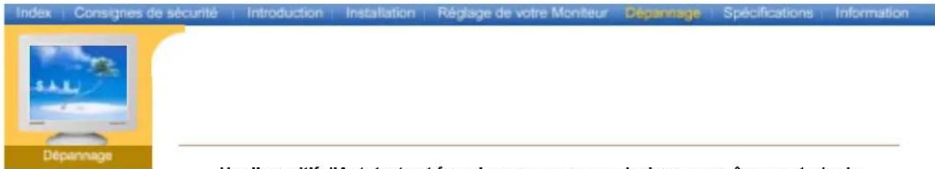 SAMSUNG SyncMaster 797DF - Vérifiez les éléments suivants pour voir s'il y a des problèmes avec le moniteur. - 2
