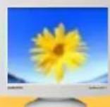 SAMSUNG SyncMaster 797DF - Fréquence Verticale - 1