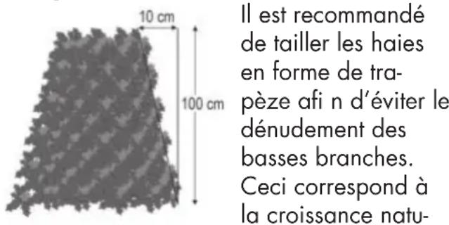 PARKSIDE PHSA 12 A1 - Techniques de taille - 1
