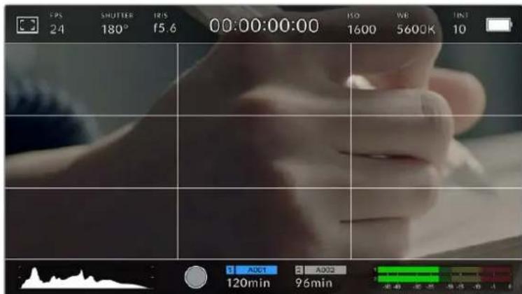 Blackmagic Design URSA Mini Pro 12K - Grids - 4