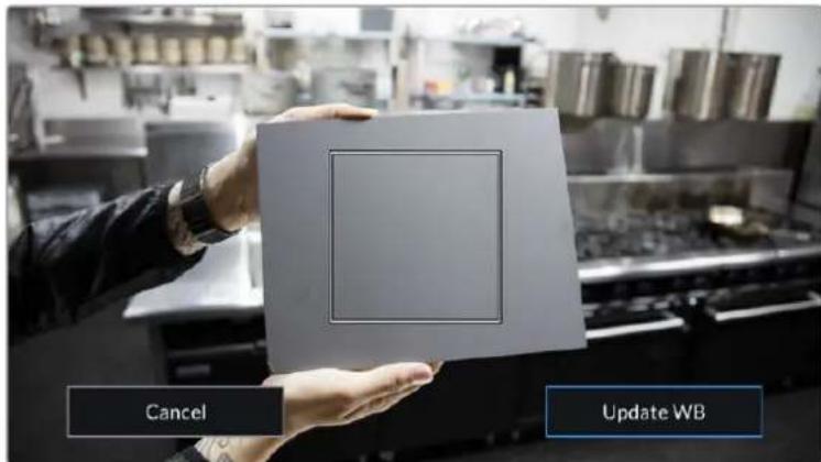 Blackmagic Design URSA Mini Pro 12K - Auto White Balance - 1