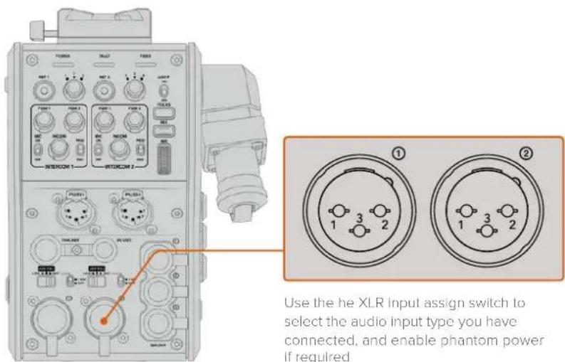 Blackmagic Design URSA Mini Pro 12K - Audio Inputs - 1