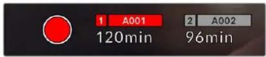 Blackmagic Design URSA Mini Pro 12K - Aufnahme-Button - 2