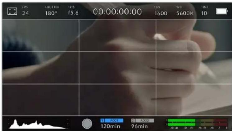 Blackmagic Design URSA Mini Pro 12K - Grids - 4