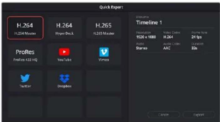 Blackmagic Design URSA Mini Pro 12K - To use Quick Export: - 1