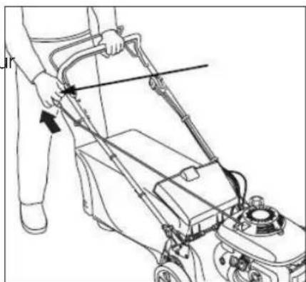 OOGARDEN T51T190BML - DÉMARRAGE DU MOTEUR - 2