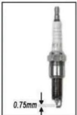 OOGARDEN T51T190BML - LA BOUGIE - 1