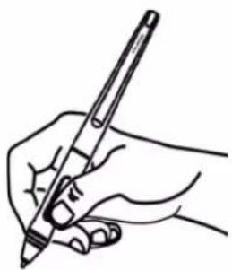 Huion Kamvas 22 Plus - Aviso: - 1