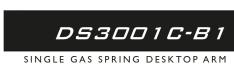 IIYAMA DSG3001CR1 - 1