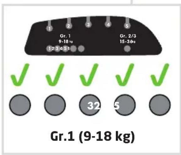 MAXI-COSI Titan Plus - RO - 25