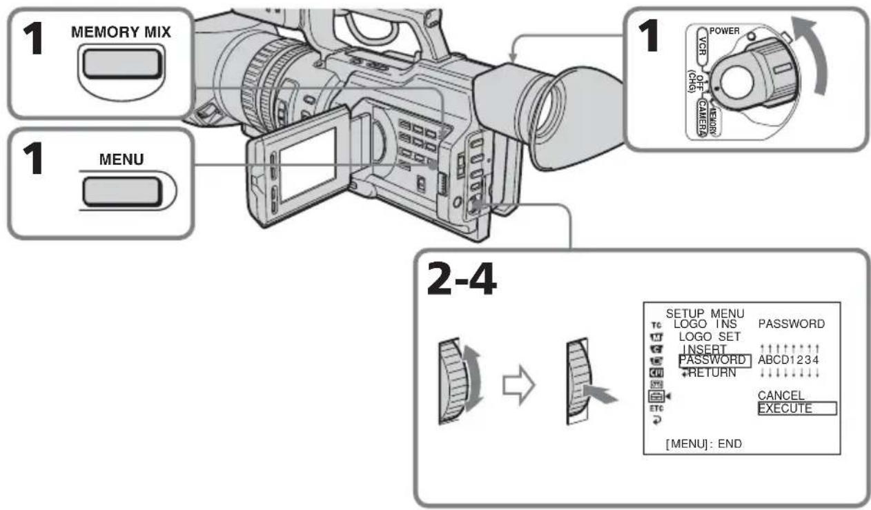 SONY DSRPD170P - Modifica della password - 1